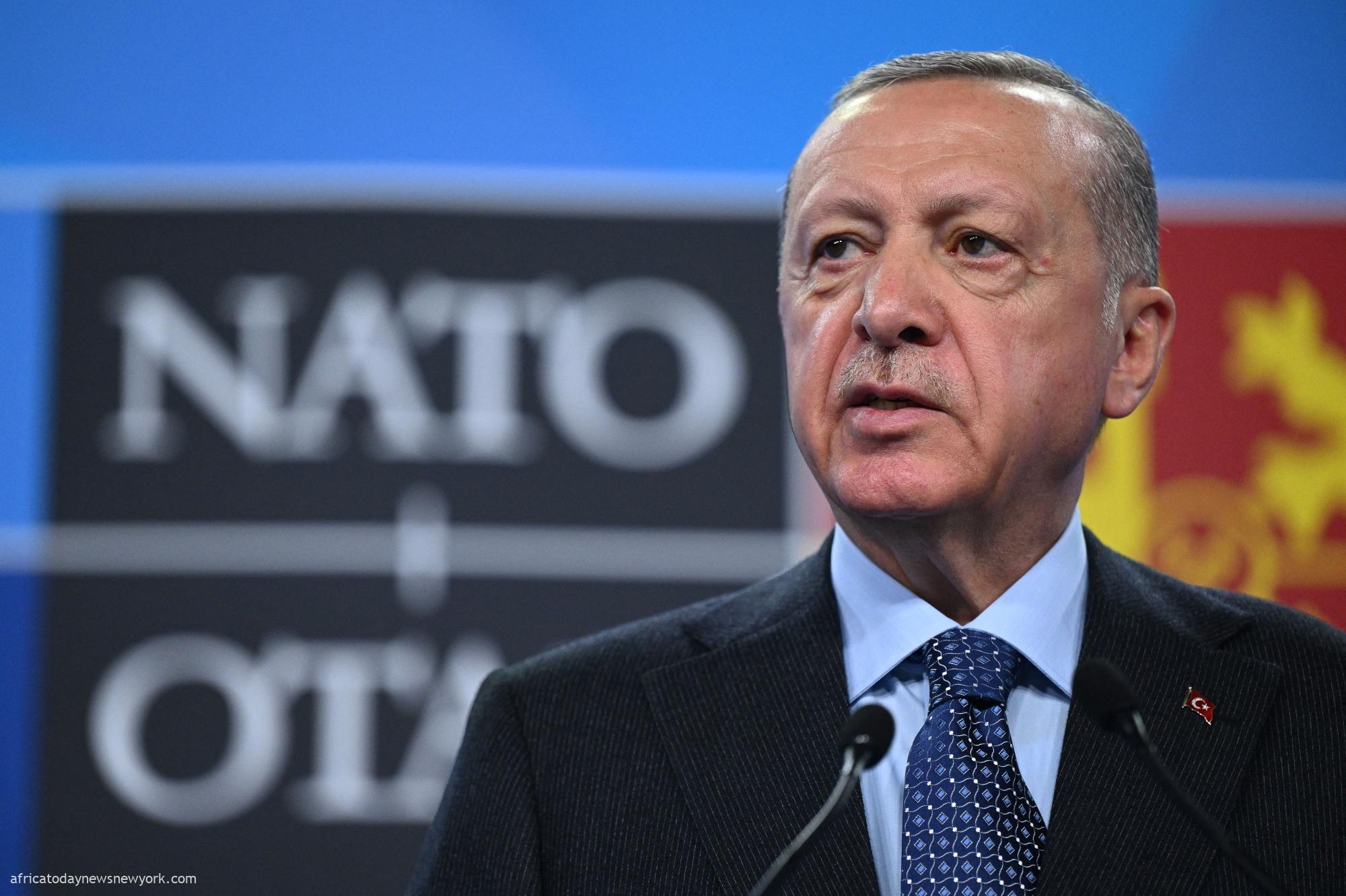 After Long Delay, Turkey Ratifies Sweden’s NATO Membership