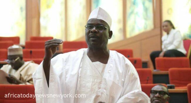 Deal With The Cabal In Your Govt, Ndume Warns Tinubu