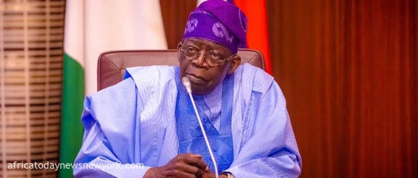 Tinubu Considers Deploying Forest Guards Amid Insecurity