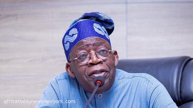 Tinubu Makes Case For Global Tax System Review