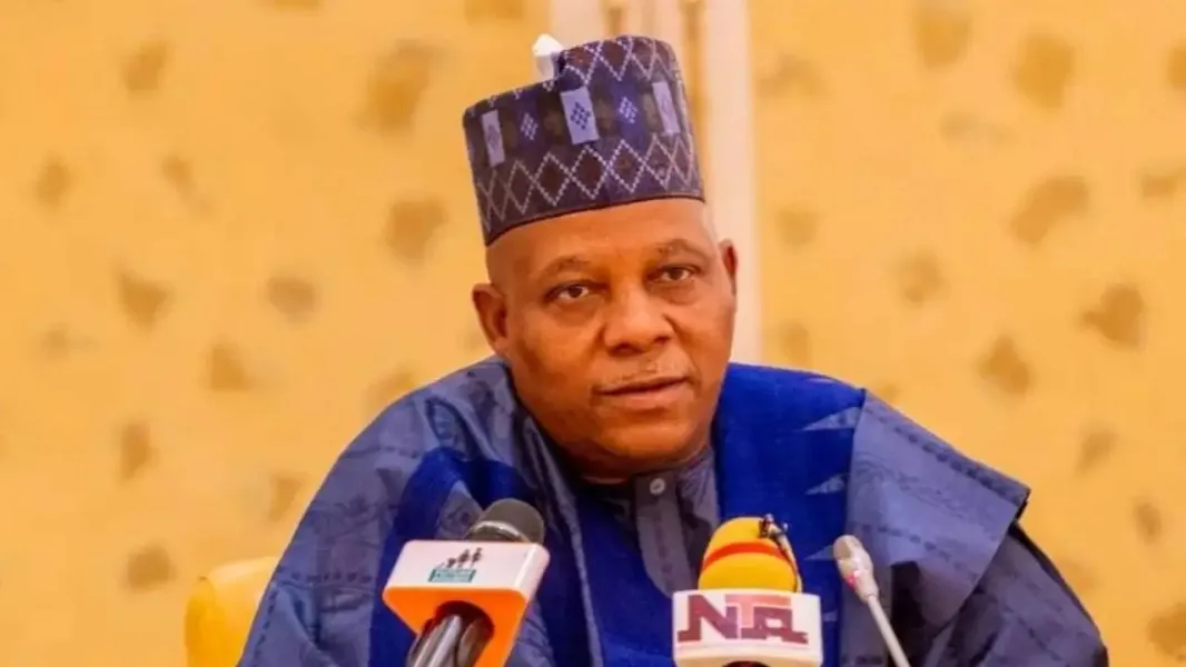 Why Kidnapping, Banditry Has Persisted In The North — Shettima