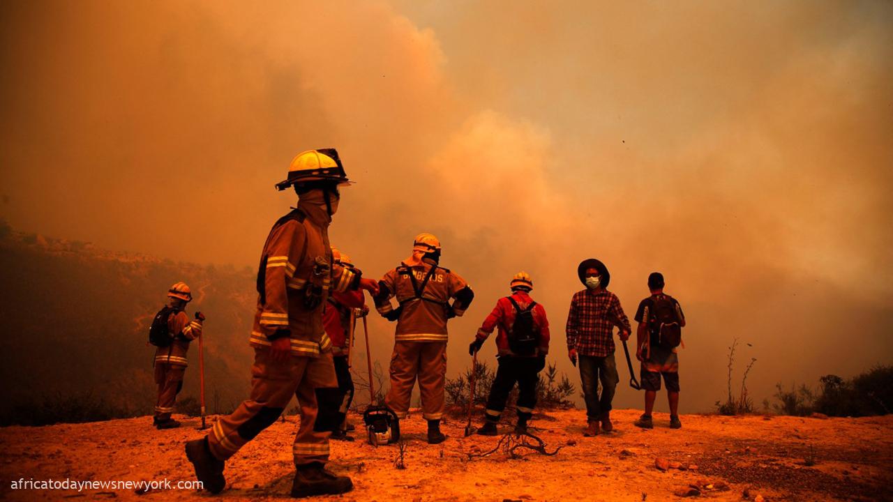 At Least 19 Dead Following ‘Catastrophic’ Wildfires In Chile