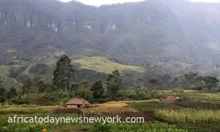 Deadly Ambush Claims 50+ Lives in Papua New Guinea Highlands