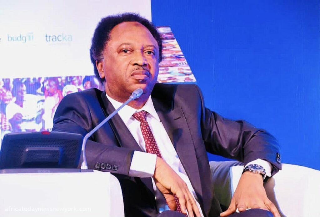 Nigeria Only Paying For Buhari's Mistakes – Shehu Sani