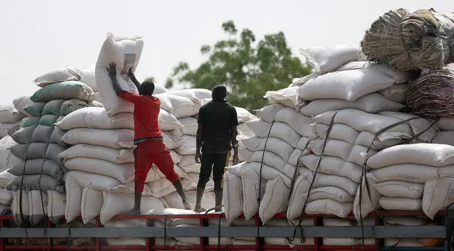 Hardship FG To Commence Distribution Of Grains Nationwide