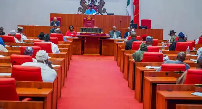 NASS Passes Student Loan Bill, Fixes Jail For Defaulters