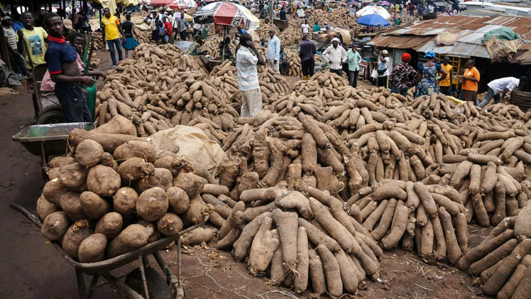 Nigerians May Soon Start Importing Yam From China - Perm Sec