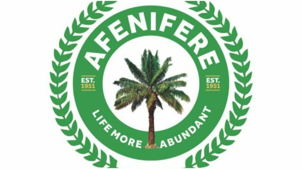 Reverse Electricity Tariff Hike, Afenifere Cautions Tinubu