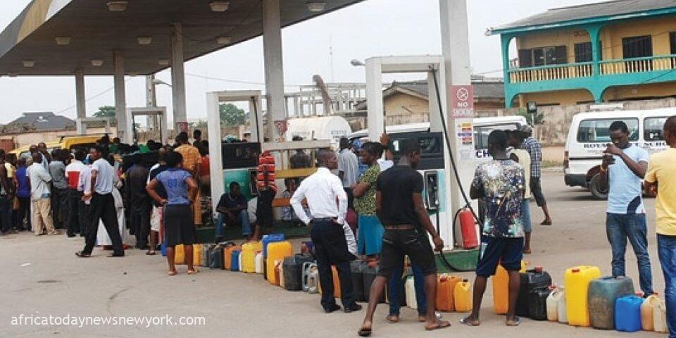 Why Fuel Scarcity Will Persist For 2 More Weeks — IPMAN