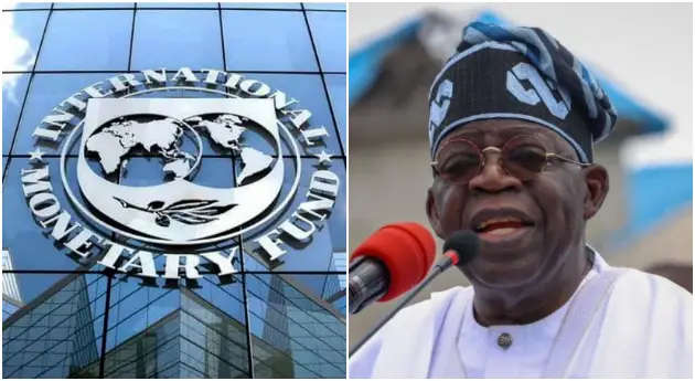 Why We Asked Nigeria To Remove Fuel Subsidy, IMF Opens Up