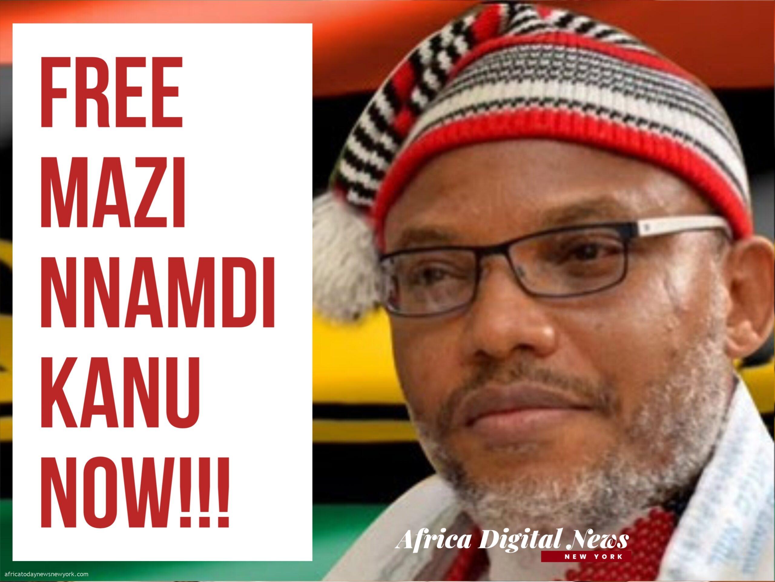 Prof. Nze Urges UN Council To Secure Nnamdi Kanu's Release