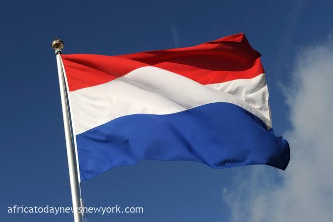 Dutch Healthcare Sector To See Significant Job Growth 2024