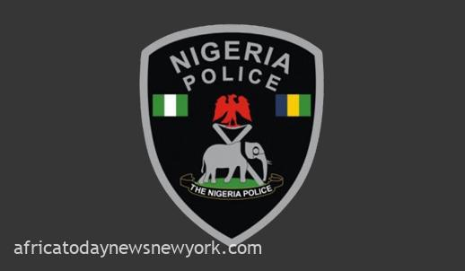 Policing Nigeria A Call For Reform And Fair Compensation