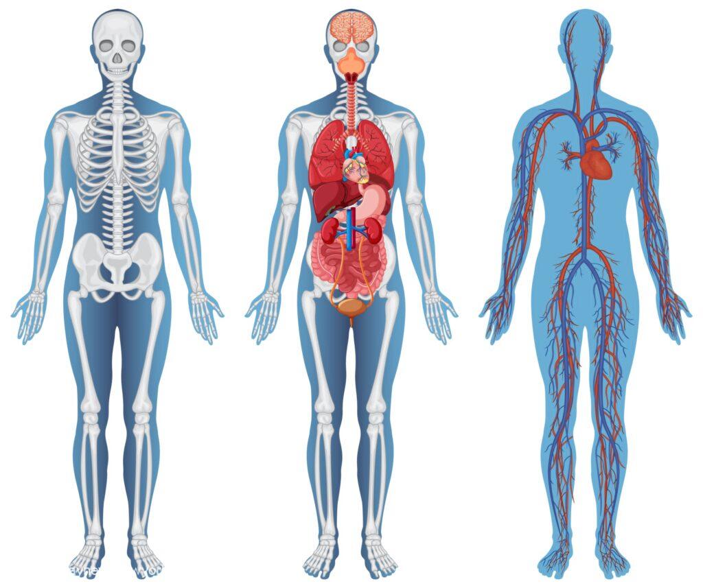 The New Science Of Health: Reprogramming The Human Body