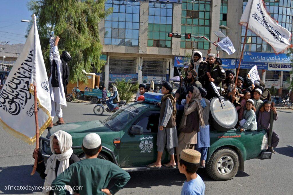 Taliban Nab 14 For Music At Private Afghan Gathering