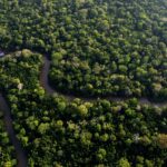 2024 Marks Worst Year For Tropical Deforestation Yet