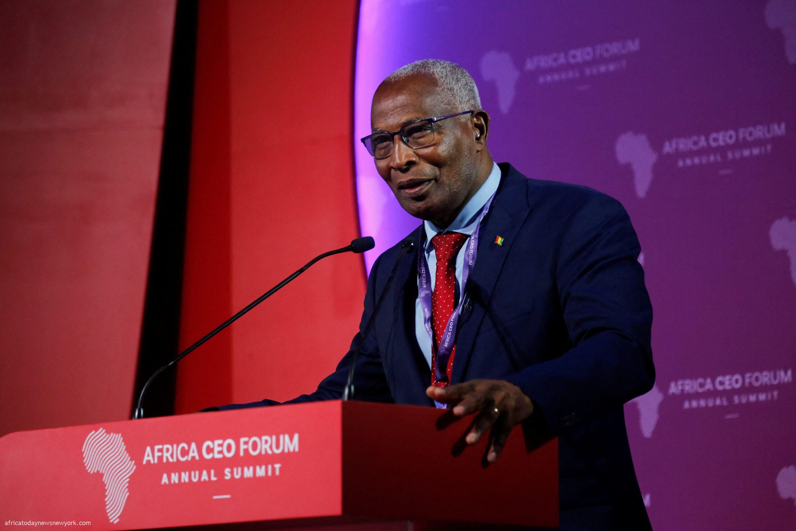 Guinea Doing All It Can For December Elections — PM