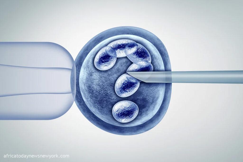 IVF-Conceived Children Are Normal, Experts Reaffirm