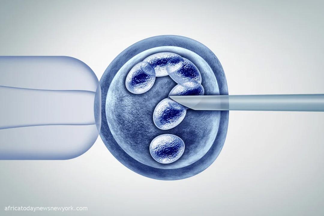 IVF-Conceived Children Are Normal, Experts Reaffirm