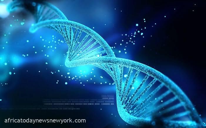 Effort To Engineer Human DNA From Scratch Officially Underway
