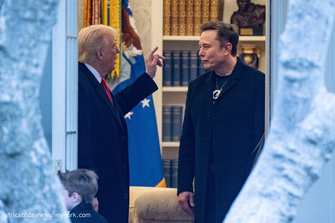 Trump Floats Deporting Elon Musk As Clash Heats Up