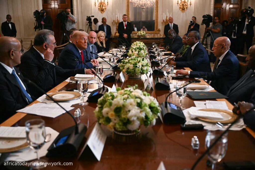 African Leaders Court Trump’s Support For Resource Growth