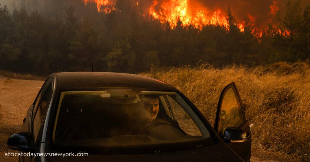 Crews Fight Relentless Wildfire Outside Athens