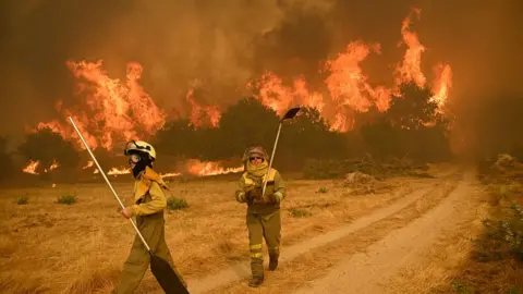 Raging Wildfires Scorch Spain, Breaking Land-Burn Records