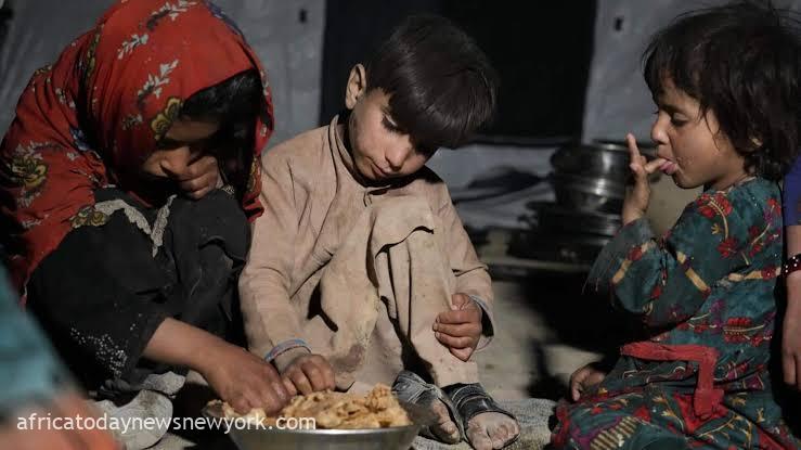 WFP Warns Of ‘Unprecedented’ Hunger Crisis In Afghanistan