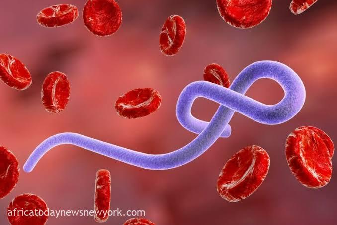 Ebola Outbreak: FG Moves To Reinforce Border Control