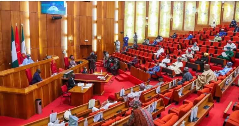 Nigeria Senate Proposes Life Imprisonment For Child Defilement