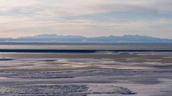 Trump Opens Arctic National Wildlife Refuge To Drilling