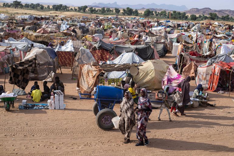 Sudan Ceasefire Proposal Accepted By Rapid Support Forces