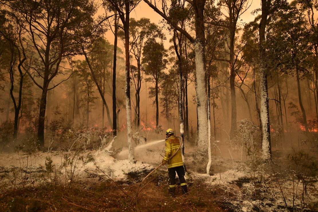 New South Wales Bushfire Evacuation Orders Amid Heatwave