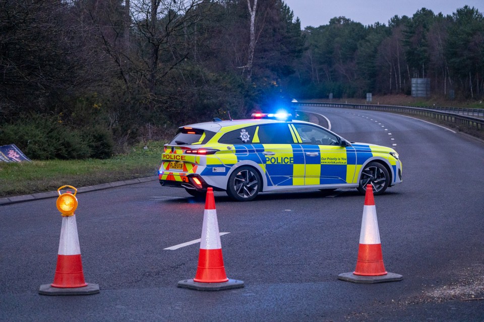 UK Police Shoot Armed Man Dead After Two-Car Crash In Norfolk