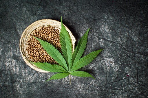 Cannabis, Public Reason, And Africa’s Next Policy Future